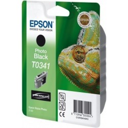 Chameleon Inks Black Cartridge T0341