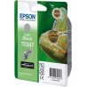 Chameleon Inks Light Black Cartridge T0347