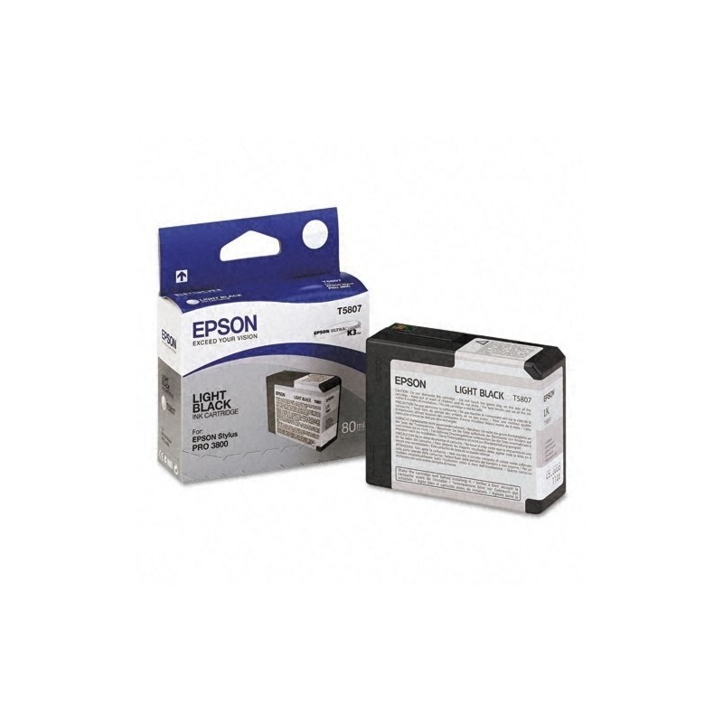 T580700 80ml Lt Black Ink