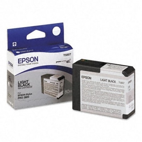 T580700 80ml Lt Black Ink