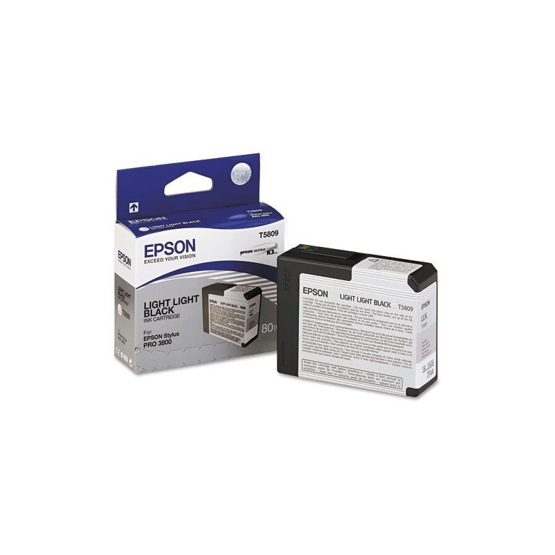 T580900 80ml Lt Lt Black Ink