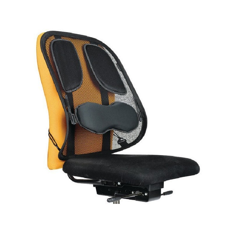 Mesh Back Support Black 8029901